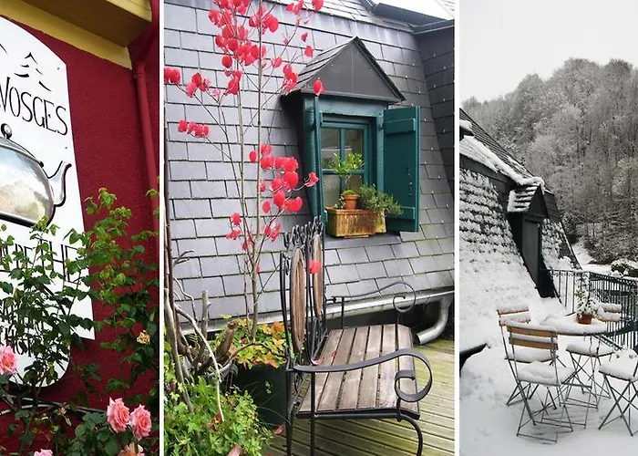 B&B Les Petites Vosges